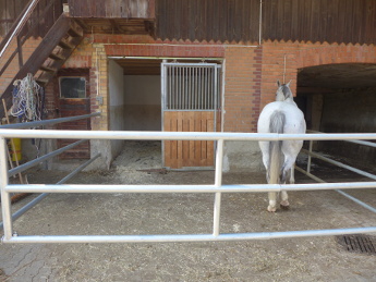 Paddock2